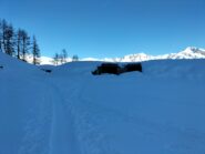 oplus_2