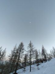 oplus_32