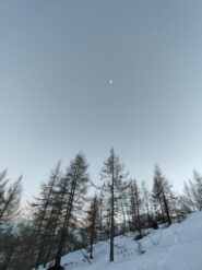 oplus_32