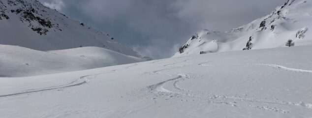 qualche segno  lasciato anche oggi.