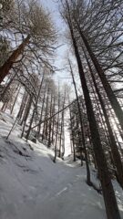 Il percorso ben battuto per salire al Ferraro