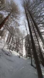 Il percorso ben battuto per salire al Ferraro