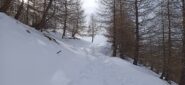 Stradina prima del primo impianto 