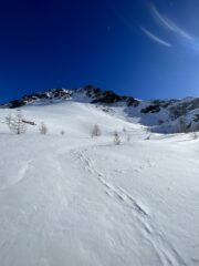 Subito fuori dal bosco... meraviglia