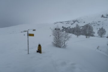 appena sopra Vetan, in alto appena sopra la casa la fila dei francesi che sale