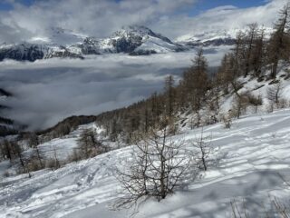 scendendo sotto i paravalanghe.... occorre cercare....