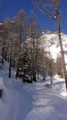 Partenza