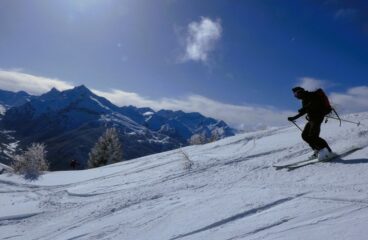 Dorsalina bene innevata