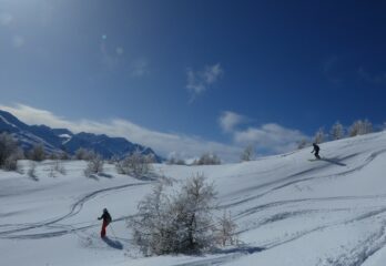 Bella farina nelle radure in alto