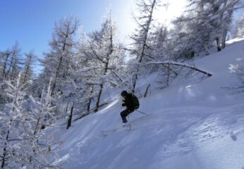 Nel bosco neve polverosa e abbondante