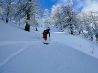 Finalmente l'inverno...