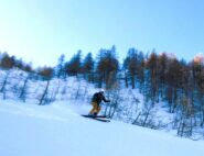 Farina ancor migliore nel bosco
