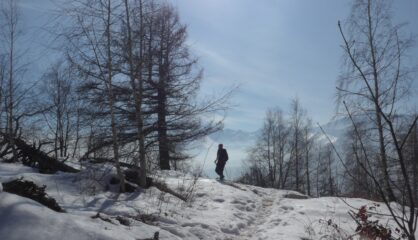 Quasi in punta al Castellus