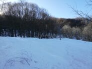 Radura sotto lo spartiacque