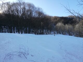 Radura sotto lo spartiacque