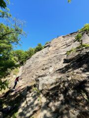 In versione primaverile