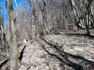 Ruderi all' inizio della traccia