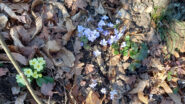 La primavera è arrivata