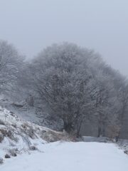 lungo la strada di salita