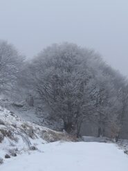 lungo la strada di salita