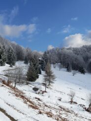 il rifugio Simonetti dal rifugio degl Alpini Navonera