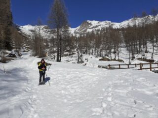 Chiusura dell'anello.