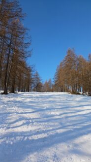 Parte iniziale della salita