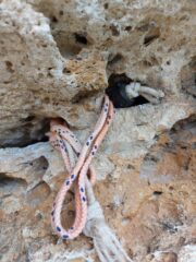 Il famoso tappo del lavandino!