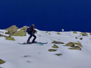 Quasi in cima
