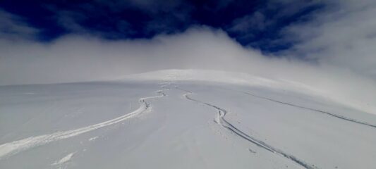 Neve top