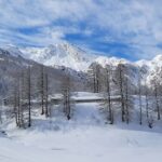 Verso Gr. Guglia