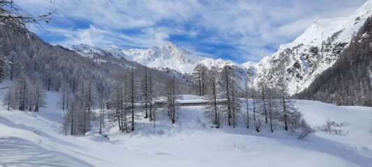 Verso Gr. Guglia