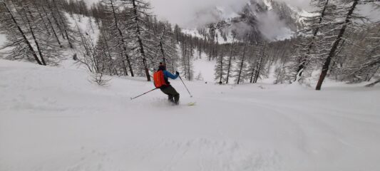 Bosco splendido 