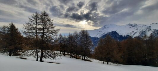 Boschi e ampie radure in basso