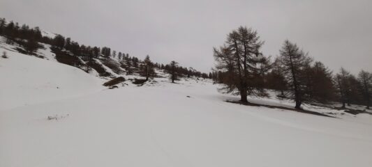 Neve perfetta nella seconda discesa