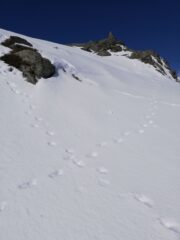 Verso l'ometto