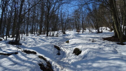 Sentiero poco sopra Balmassa