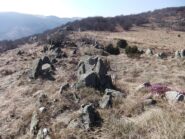 Affioramenti rocciosi