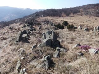 Affioramenti rocciosi