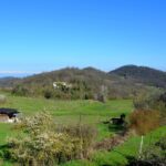 Il Bric Castelvelli visto dai pressi della Cascina Zenevrea.