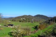 Il Bric Castelvelli visto dai pressi della Cascina Zenevrea.