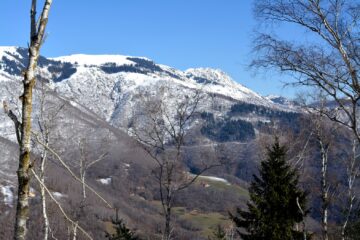 Bielmonte ed Argimonia scendendo verso Pratetto.