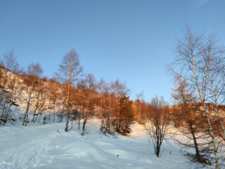 oplus_2