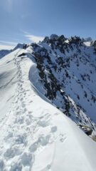 Crête d'Arpette verso l'Aiguille de la Cabane 