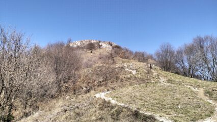oplus_2