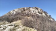 oplus_2