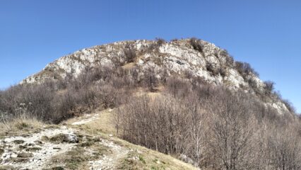 oplus_2