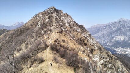 oplus_2