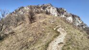 oplus_2