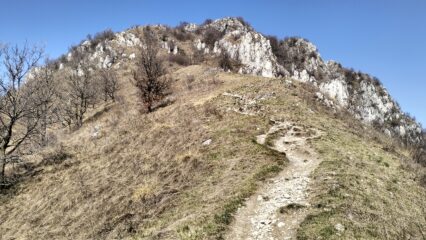 oplus_2